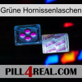Grüne Hornissenlaschen 37
